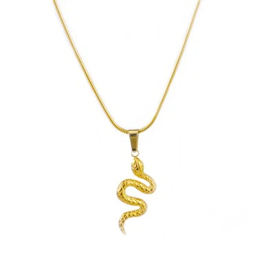 Yılan Kolye Kolye