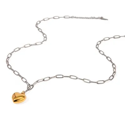 İki Renkli Kalp Ataçlı Kolye